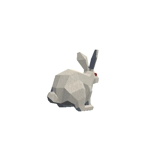 Rabbit White